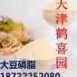 【生产厂家】直供粉末大豆磷脂含量99% Soy Lecithin磷脂酰胆碱